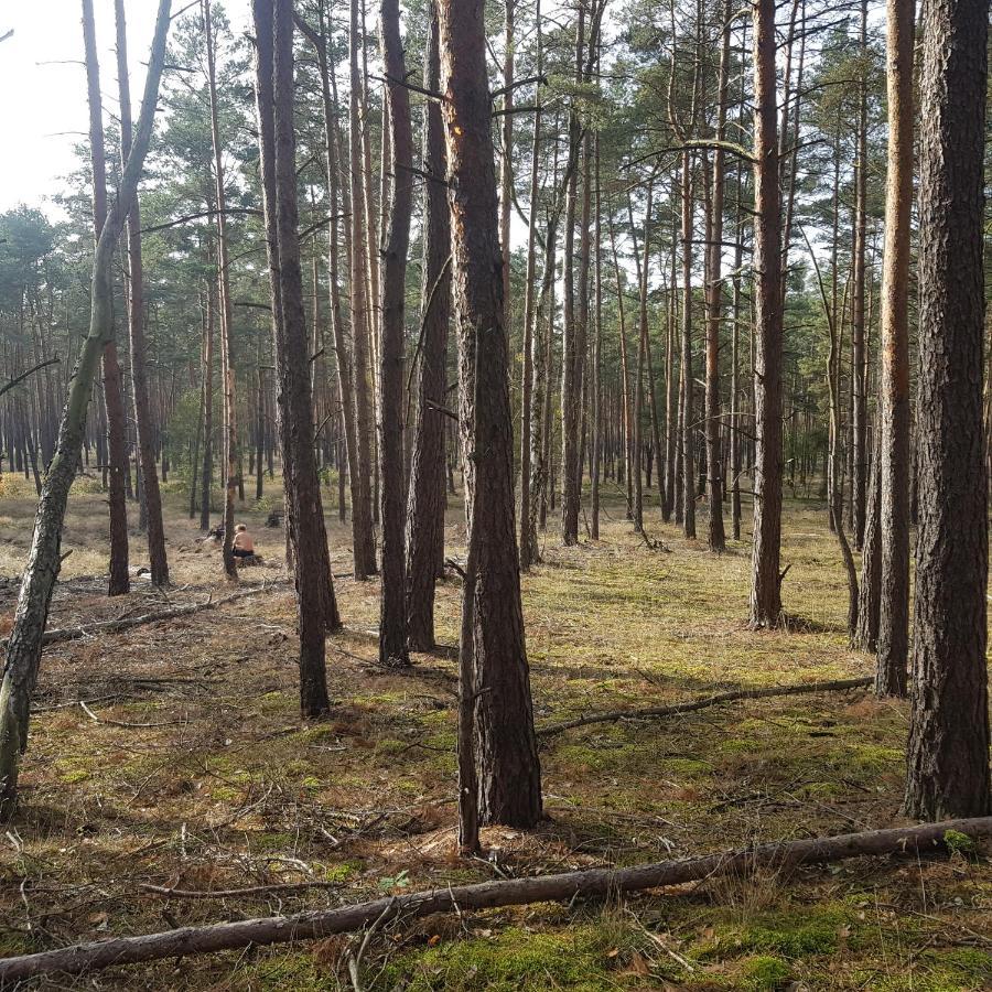 Апартаменты Omas Linde Бранденбург Экстерьер фото